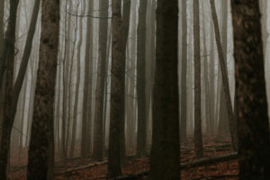 niagara photographer